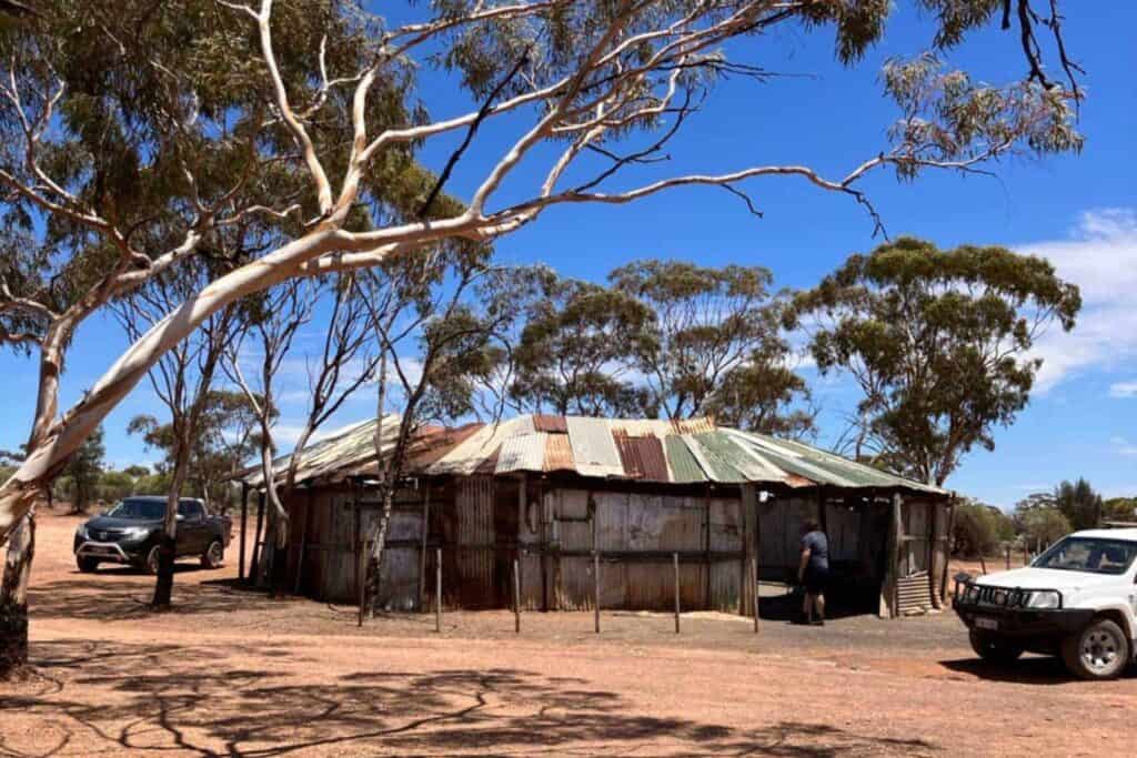 Rustic, weathered shed known as the Kalgoorlie Two-Up Shed, surrounded by sparse Australian bushland under a clear blue sky. The shed has a corrugated metal roof with various rust and wear, while two vehicles are parked nearby, and a person stands near the entrance, evoking the region's historical connection to the game of two-up.