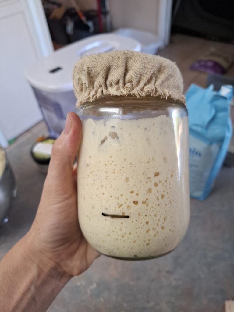 How I Keep My Sourdough Starter Alive in Kalgoorlie