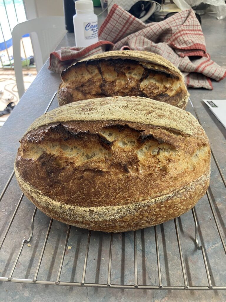 Sourdough for Beginners in a Hot Climate: What Actually Works